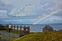 Basques Lookout, La Scie